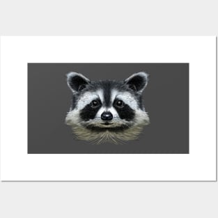 Racoon Posters and Art